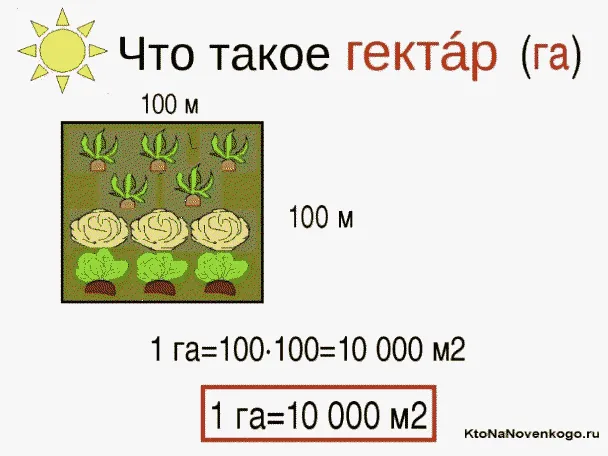 Что такое гектар