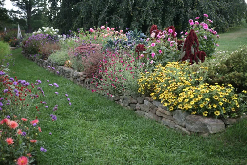 white-flower-farm-trial-garden-border-color-gardenista