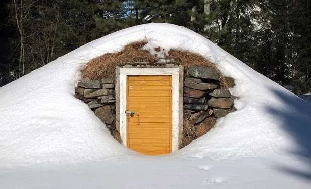 погреб на даче своими руками фото