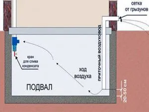 Вентиляция погреба своими руками