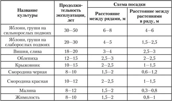 дистанция между насаждениями