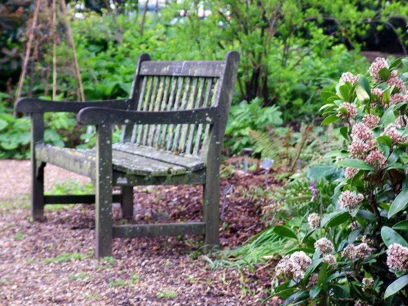 garden-bench-geranium