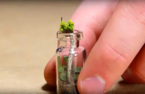 Удивительный мир в бутылке: как сделать флорариум своими руками