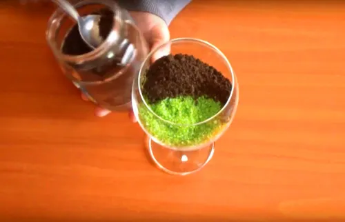 Удивительный мир в бутылке: как сделать флорариум своими руками