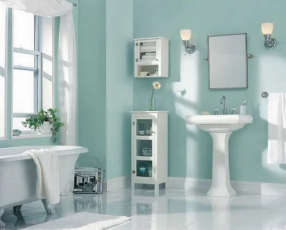 Дизайн ванной комнаты в частном доме_покраска