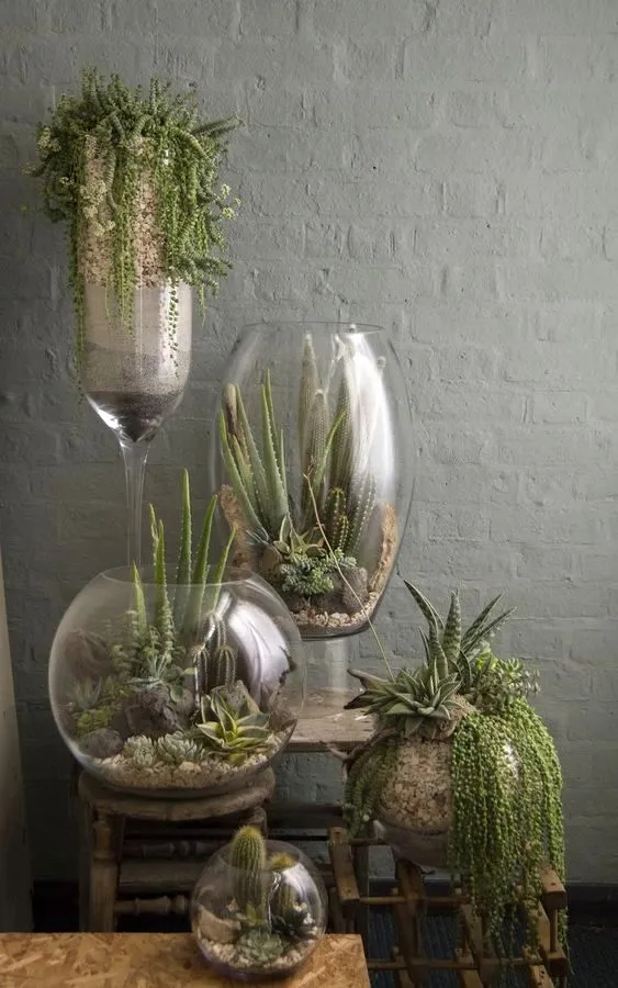 флорариумы в вазах