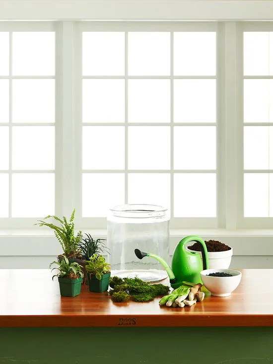 сосуд и растения на столе