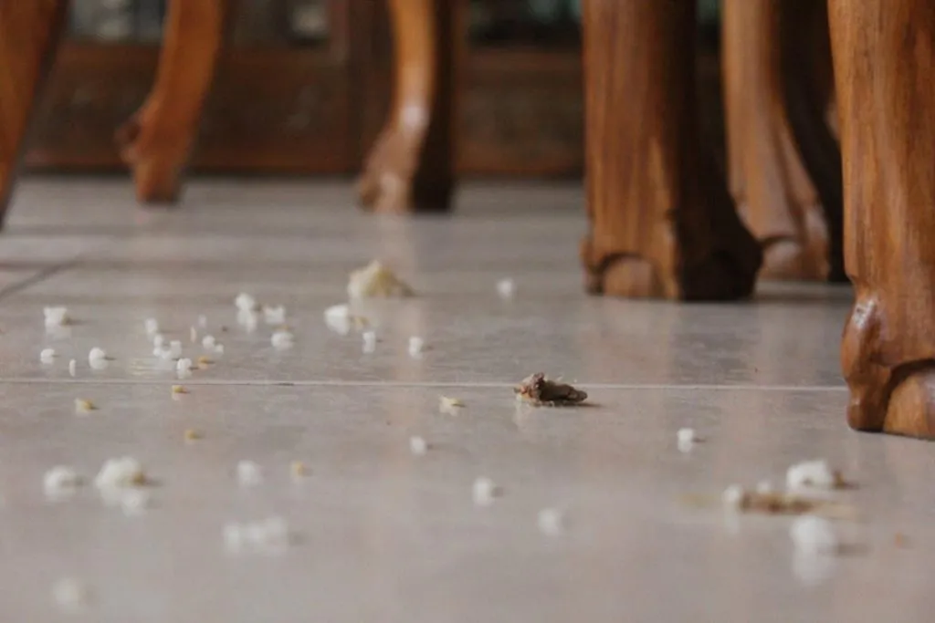 Что делать и как избавиться, если тараканы живут в холодильнике – пошаговая инструкция, как вывести насекомых из бытовой техники. Профилактика, регулярная уборка