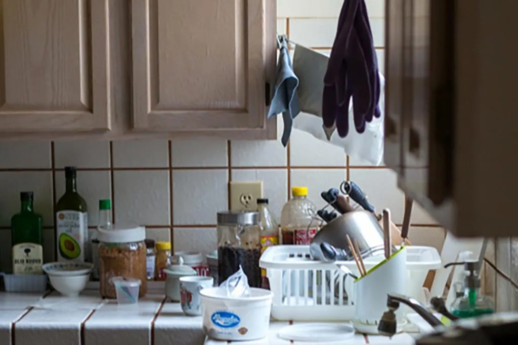 20 народных рецептов – как вывести тараканов навсегда в домашних условиях, своими руками самостоятельно. Миссия – избавиться за 1 день, не убираемые квартиры
