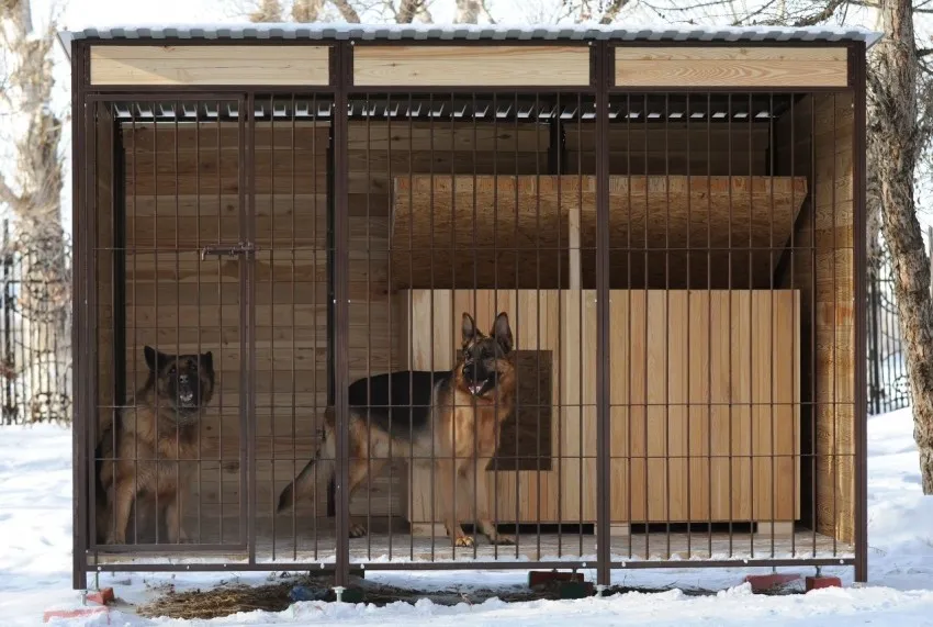 voler-dlya-sobaki-foto-video-rekomendatsii-kak-sdelat-svoimi-rukami-29