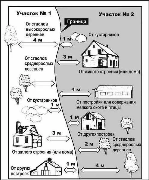 Где согласовывается посадка дерева во дворе МКД