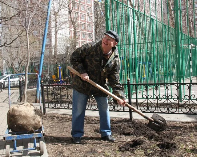 Где согласовывается посадка дерева во дворе МКД