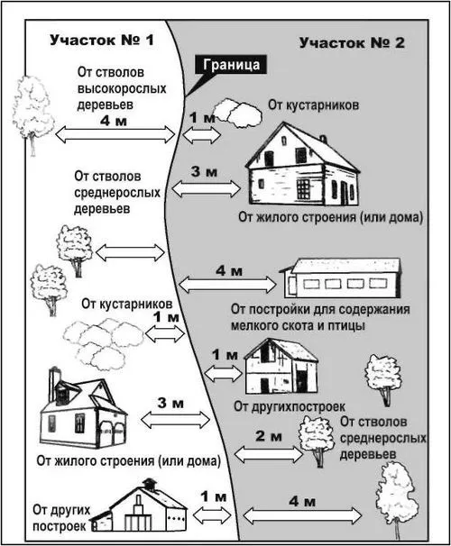 Где согласовывается посадка дерева во дворе МКД